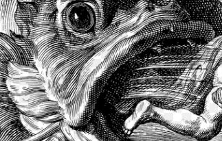 La vision du monstre marin