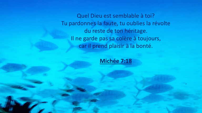 Le pardon