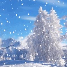 La vision du Noël de l&rsquo;été