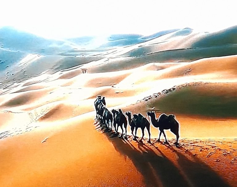 Le songe de la caravane du désert